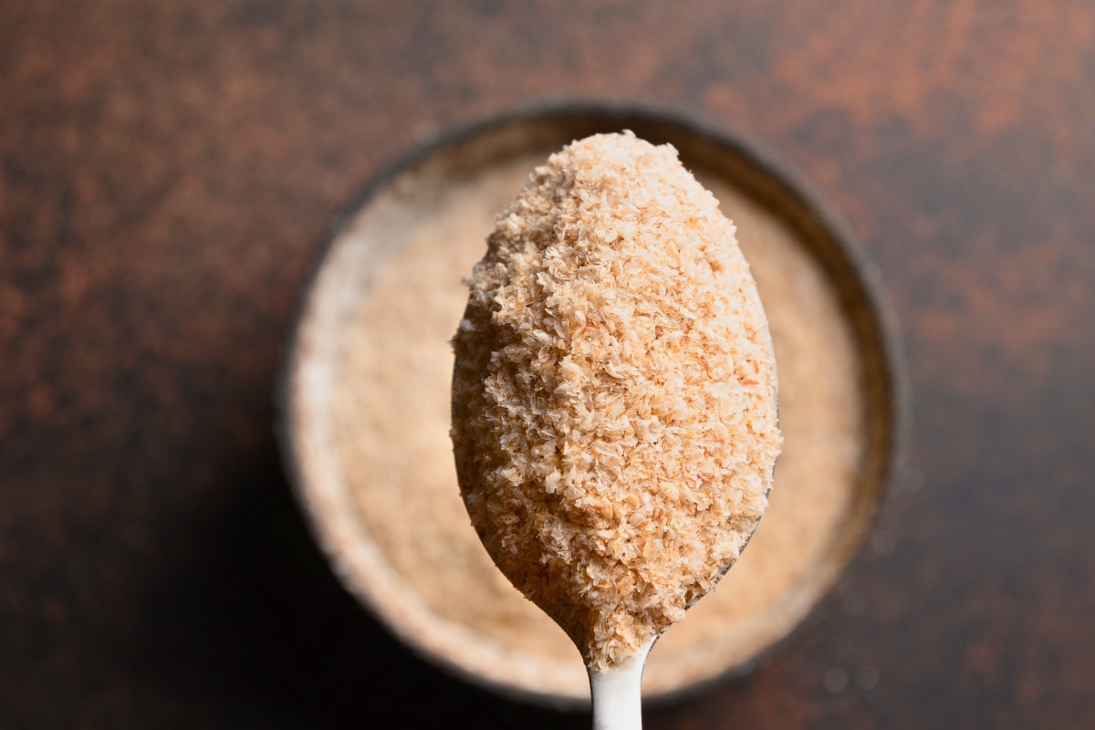 psyllium-cuillere Psyllium